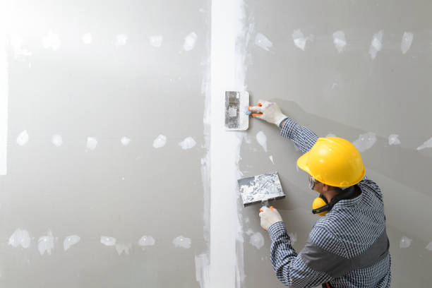 Best Attic Mold Removal  in New Square, NY