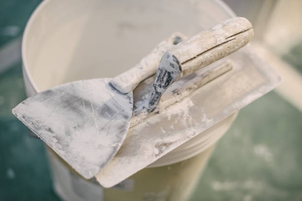 Best Mold Odor Removal Services  in New Square, NY